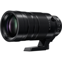 Panasonic Leica DG Vario-Elmar 100-400mm f/4-6.3 ASPH